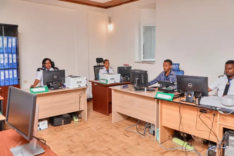 Lion Security Service PLC