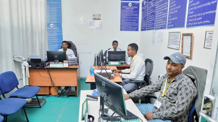 Lion Security Service PLC