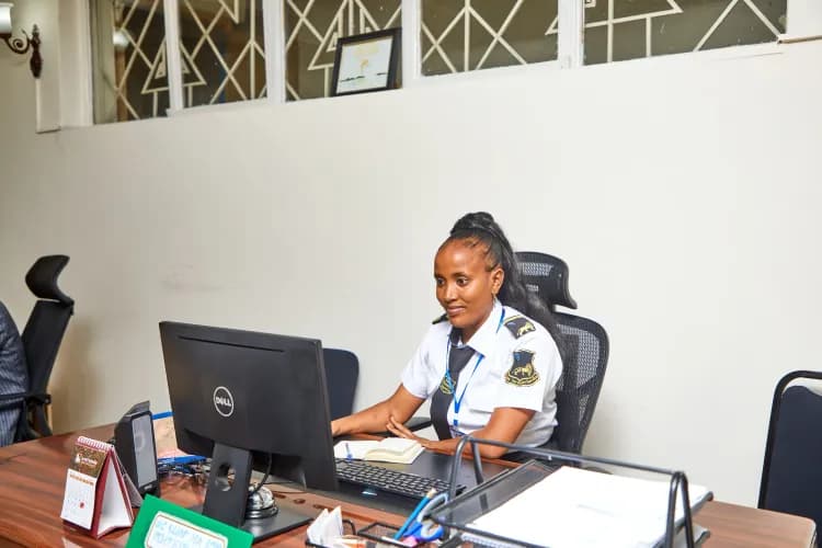 Lion Security Service PLC