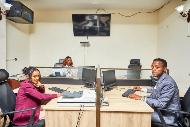 Lion Security Service PLC