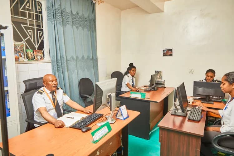 Lion Security Service PLC