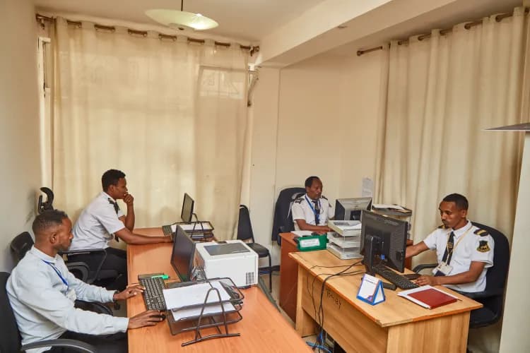 Lion Security Service PLC