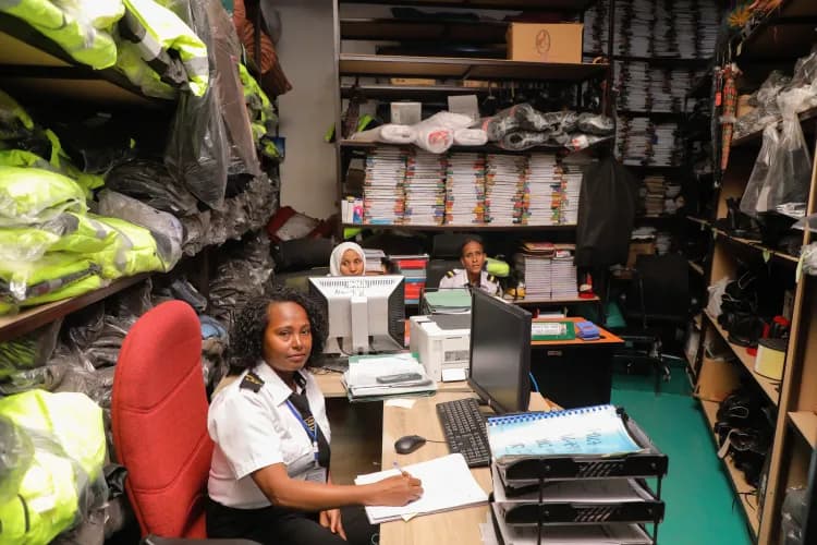 Lion Security Service PLC