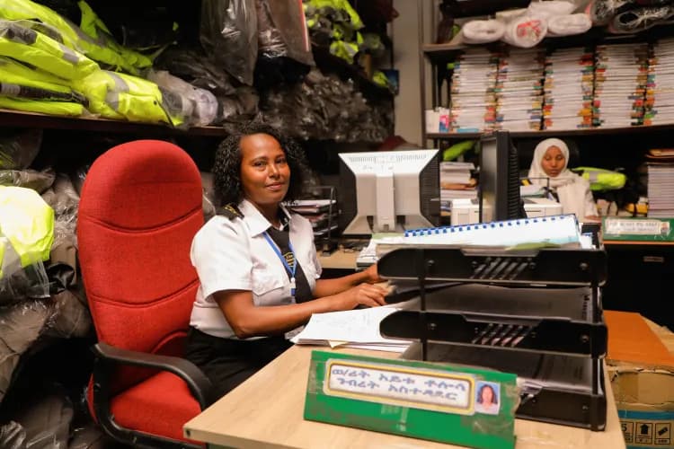 Lion Security Service PLC