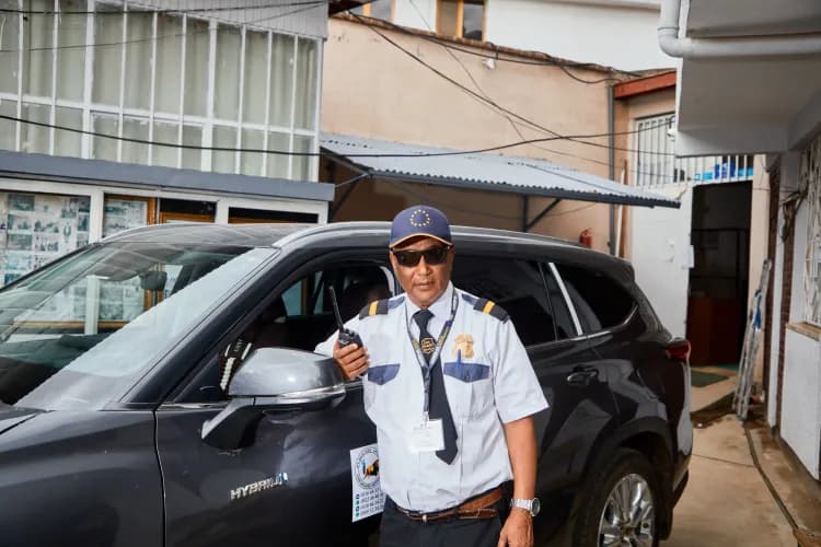 Lion Security Service PLC