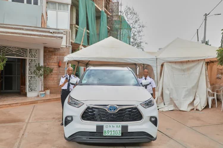 Lion Security Service PLC