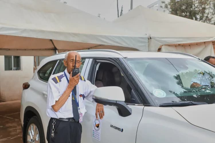 Lion Security Service PLC