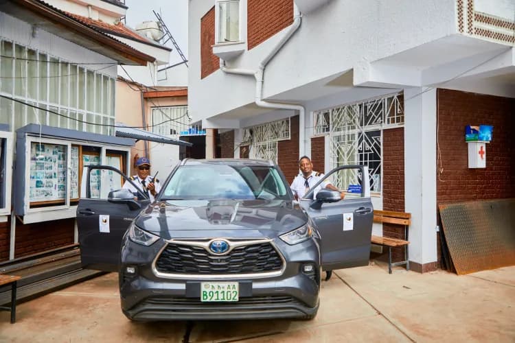 Lion Security Service PLC