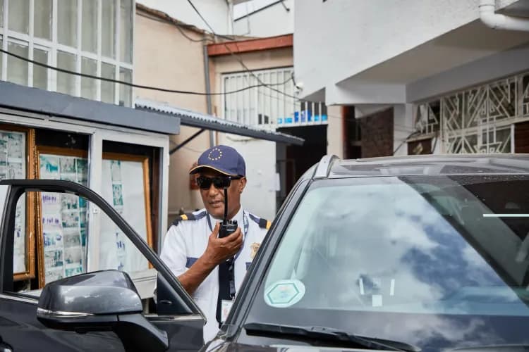 Lion Security Service PLC