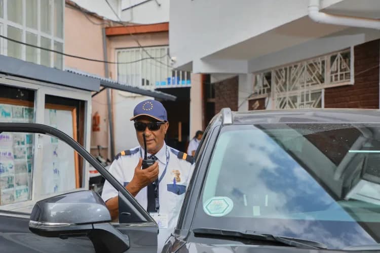 Lion Security Service PLC