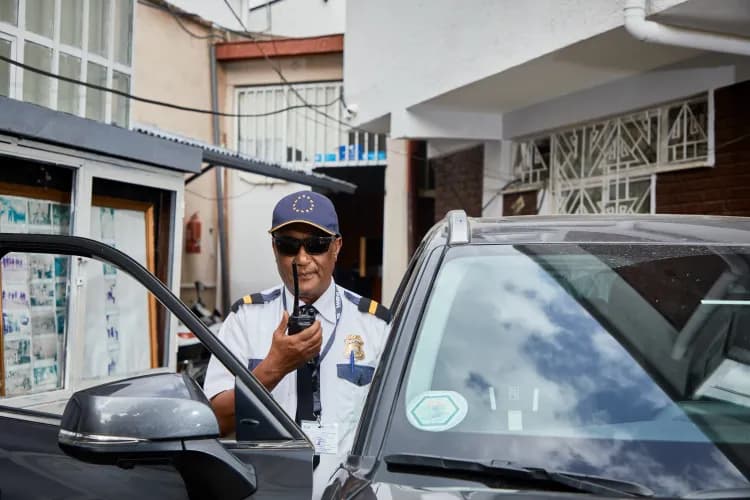 Lion Security Service PLC