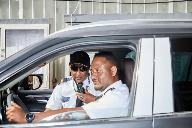 Lion Security Service PLC