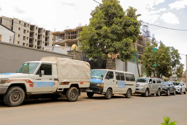 Lion Security Service PLC