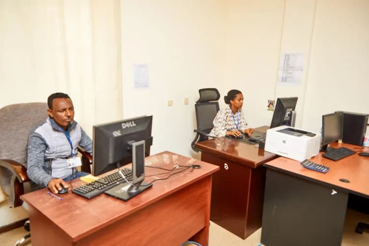 Lion Security Service PLC