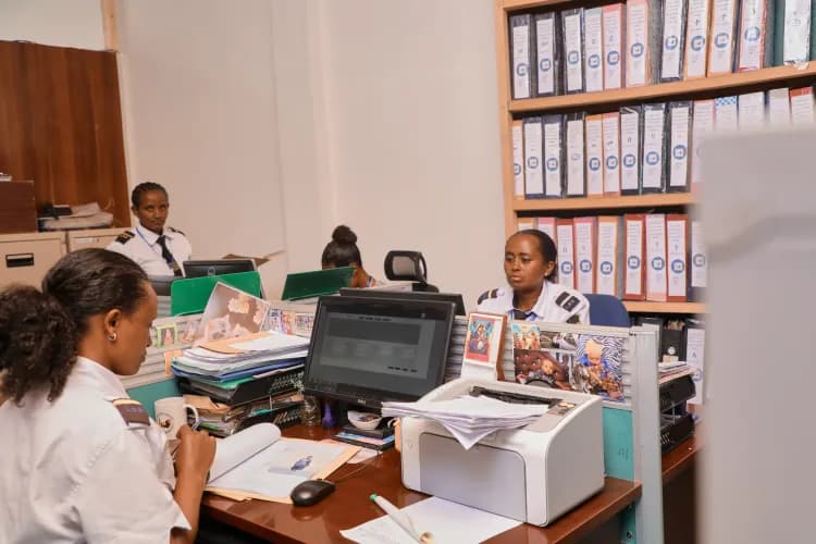 Lion Security Service PLC