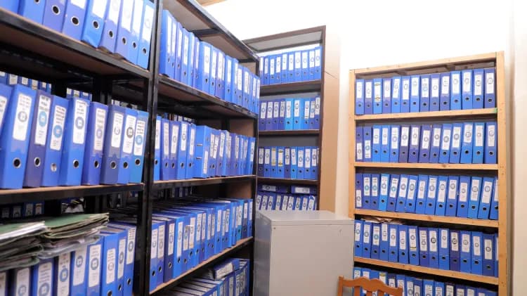 Lion Security Service PLC