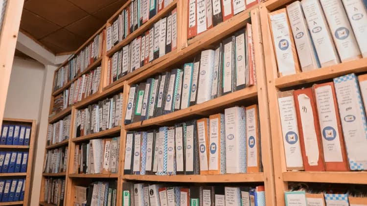 Lion Security Service PLC