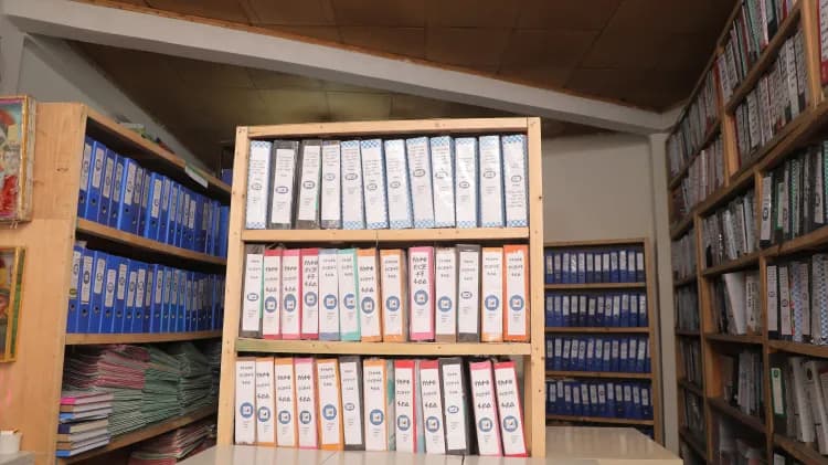 Lion Security Service PLC