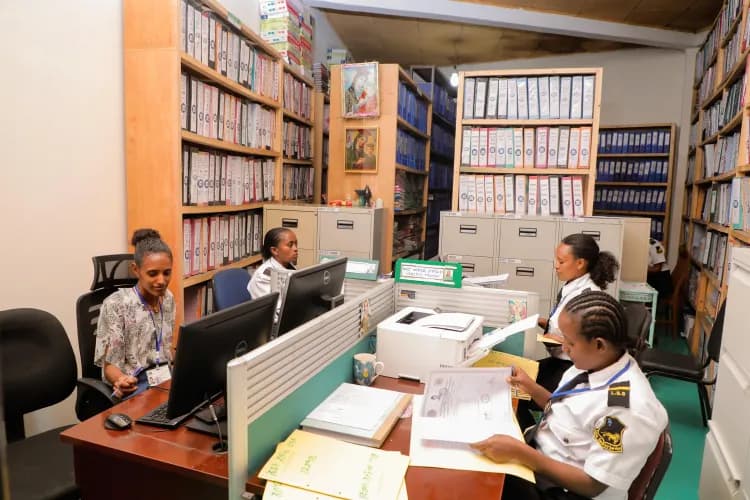 Lion Security Service PLC