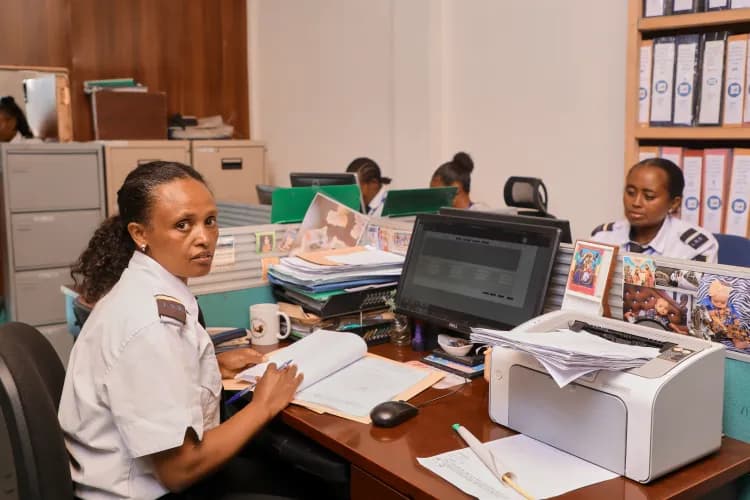 Lion Security Service PLC