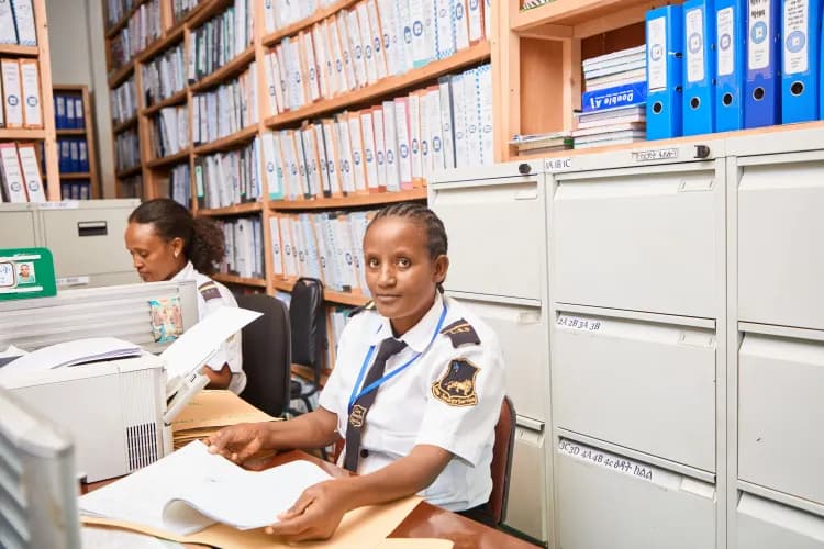 Lion Security Service PLC