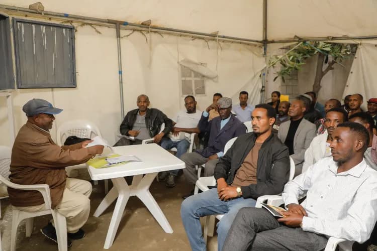 Lion Security Service PLC