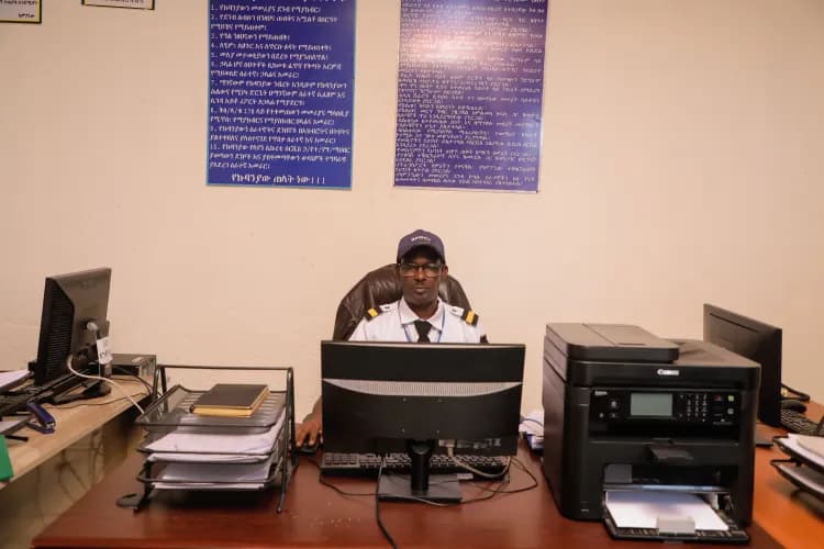 Lion Security Service PLC