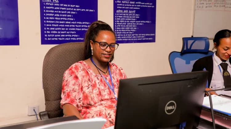 Lion Security Service PLC